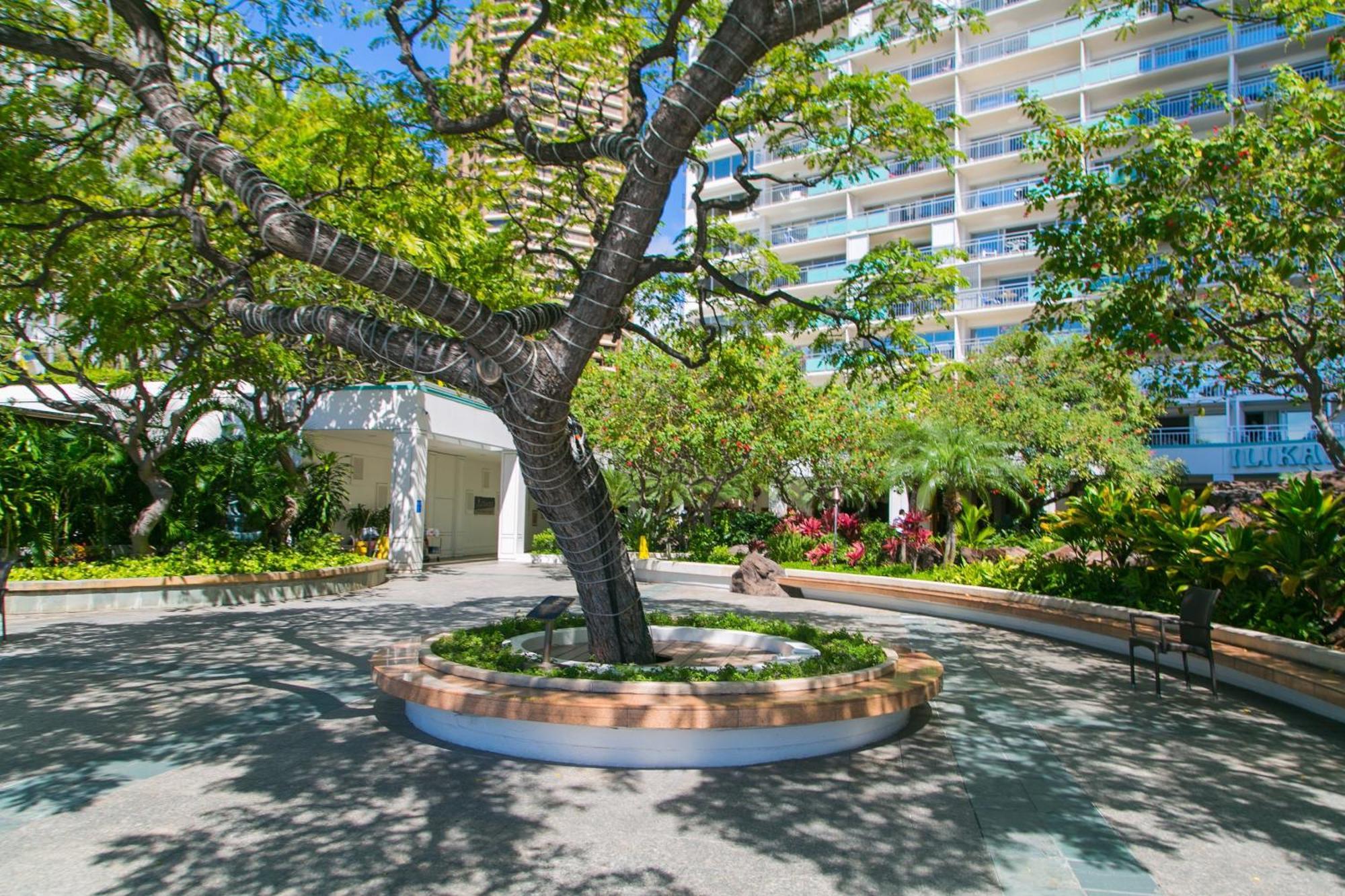 Ilikai Tower 1533 Yacht Harbor View 1Br Lejlighed Honolulu Eksteriør billede